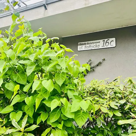 Z Ogrodkiem דירה *