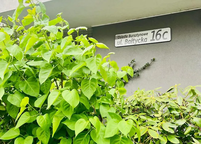 Z Ogrodkiem Lägenhet *